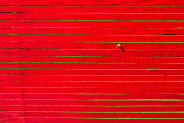 Photograph Azim Khan Ronnie Run On Red 02 on One Eyeland