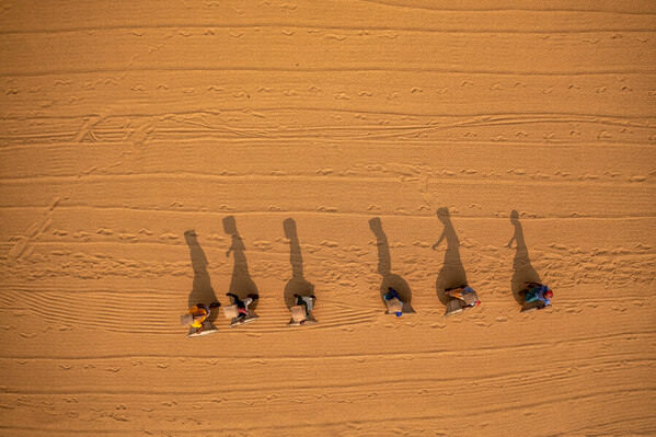 Photograph Azim Khan Ronnie Surreal Shadow In The Drying Rice Workers 01 on One Eyeland