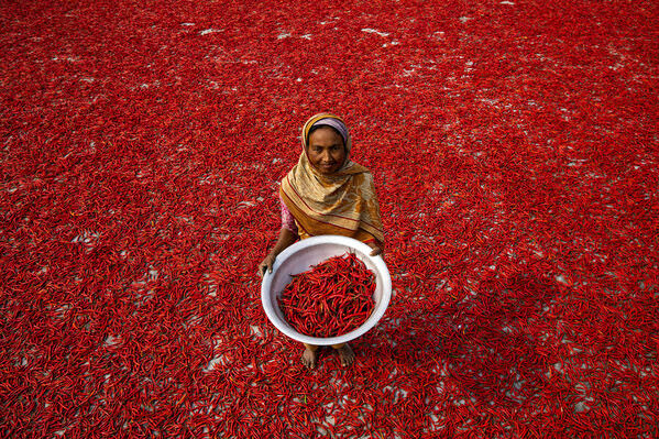 Photograph Azim Khan Ronnie Women Of Red Chilies on One Eyeland
