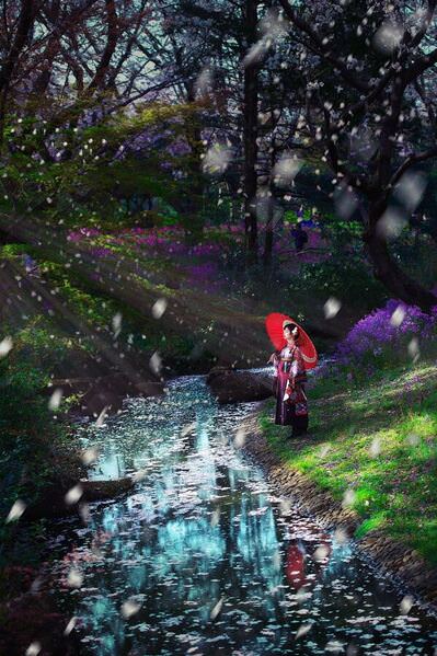 Photograph Horio Koichiro Season on One Eyeland