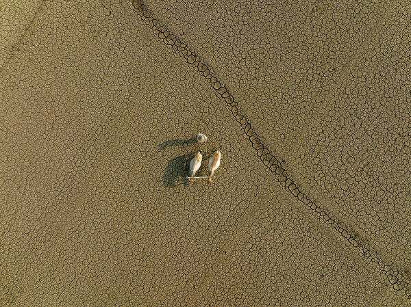 Photograph Azim Khan Ronnie Farmer In Drought Land on One Eyeland