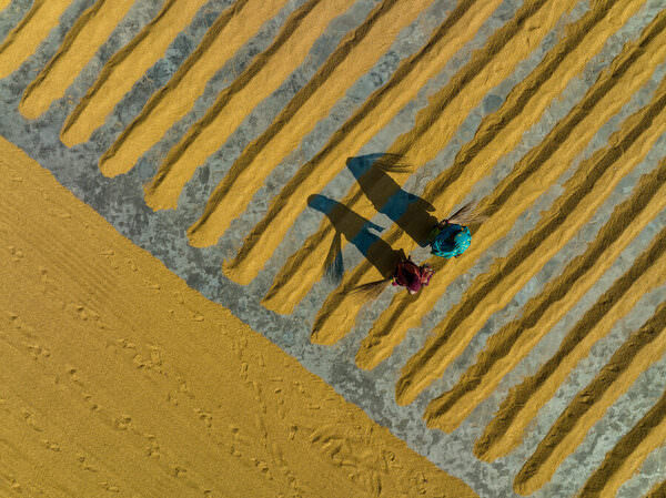 Photograph Azim Khan Ronnie Two Women Workers on One Eyeland