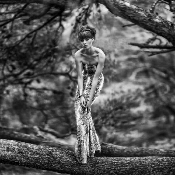 Photograph Jozef Danyi Ven on One Eyeland