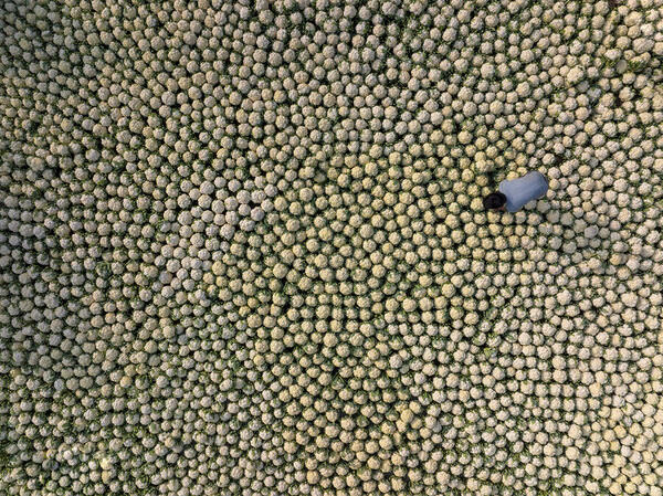 Photograph Azim Khan Ronnie Cauliflower Selling on One Eyeland