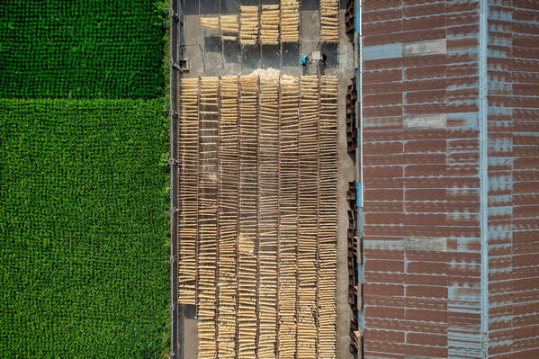 Photograph Azim Khan Ronnie Noodles Factory on One Eyeland