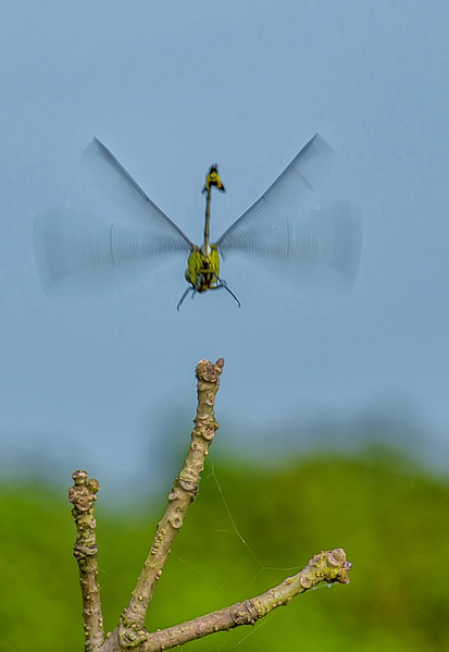 Photograph Azim Khan Ronnie Helicopter on One Eyeland