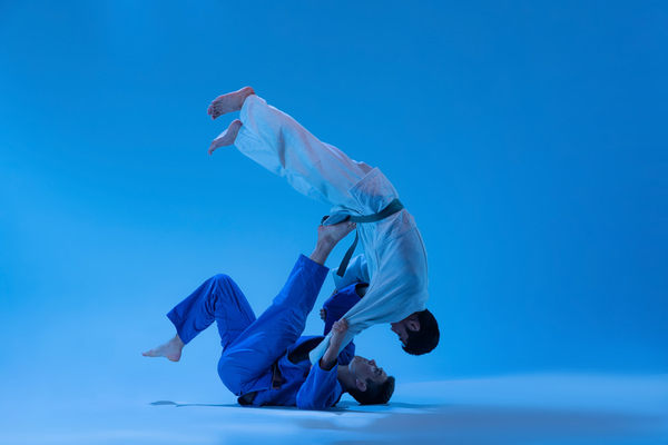 Photograph Lustre Photoproduction Judo on One Eyeland