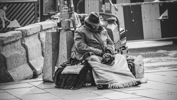 Photograph Vladimir Bogovcic Best Friend on One Eyeland