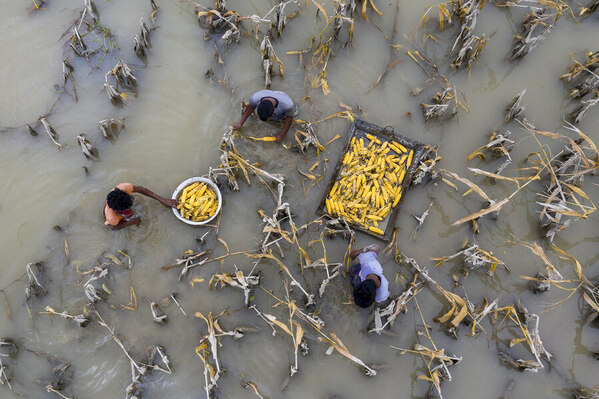 Photograph Azim Khan Ronnie Corn Collecting In To The Flood Water on One Eyeland