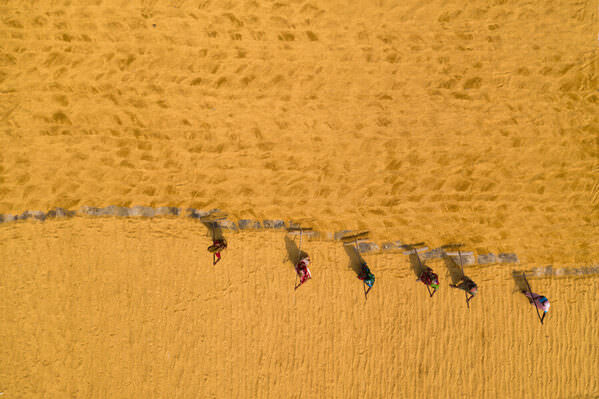 Photograph Azim Khan Ronnie Rice Drying on One Eyeland