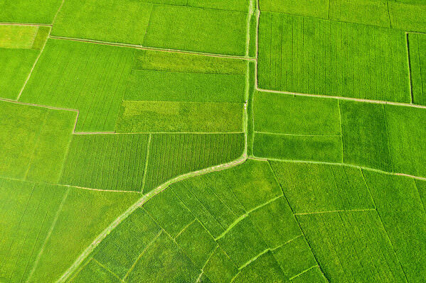 Photograph Azim Khan Ronnie Green Field on One Eyeland