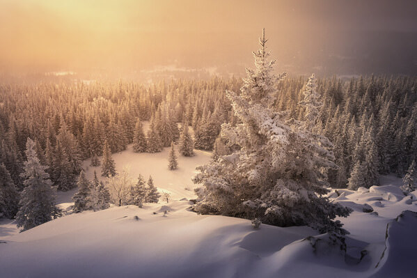 Photograph Tatiana Biriukova Winter Light on One Eyeland