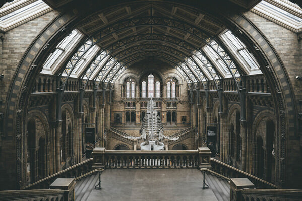 Photograph Ollivier Marc The Main Hall on One Eyeland