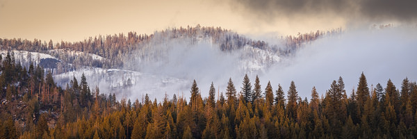 Photograph Joshua Smith Rising Flames Of Evening on One Eyeland