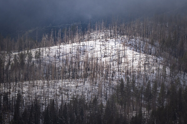Photograph Joshua Smith Moodlight on One Eyeland