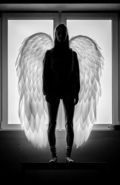 Photograph Radek Von Hirschberg Dark Body White Wings on One Eyeland