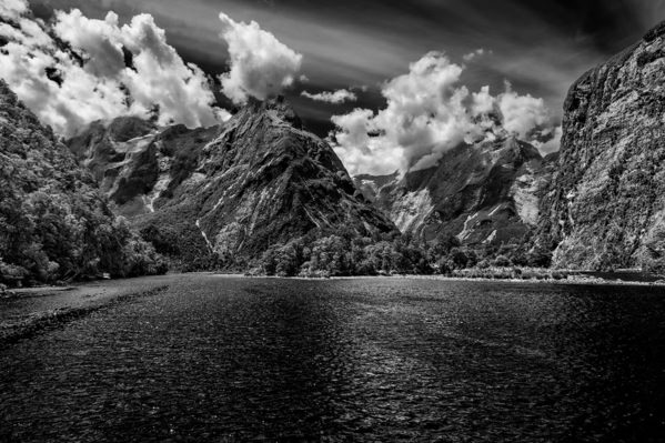 Photograph Gary E Karcz Milford Sound In New Zealand on One Eyeland