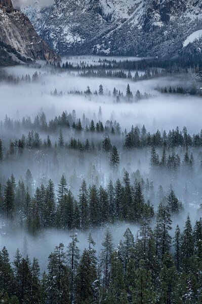 Photograph Joshua Smith Fog Sentinels on One Eyeland