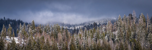 Photograph Joshua Smith Winter Quilt on One Eyeland