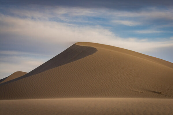 Photograph Joshua Smith Windswept on One Eyeland