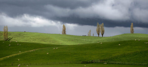 Photograph Satheesh Nair New Zealand Dsc6133 on One Eyeland