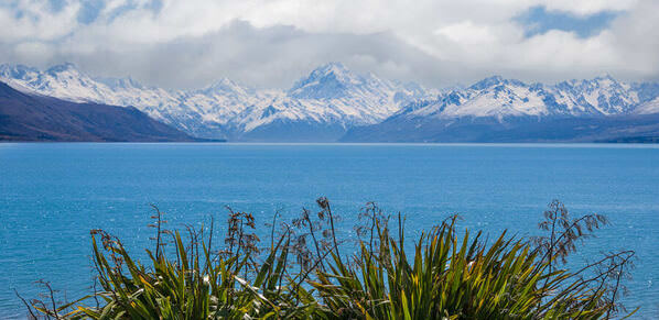 Photograph Satheesh Nair New Zealand Dsc9773 on One Eyeland