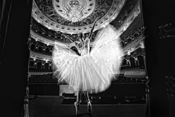 Photograph Tatyana Salutova Butterfly on One Eyeland
