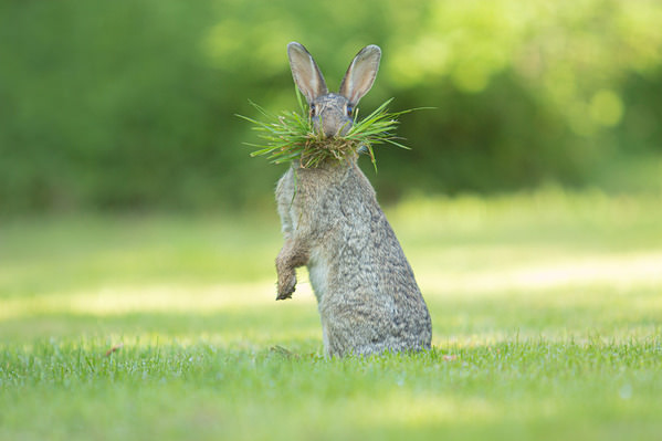 Photograph Olivier Colle Eh on One Eyeland