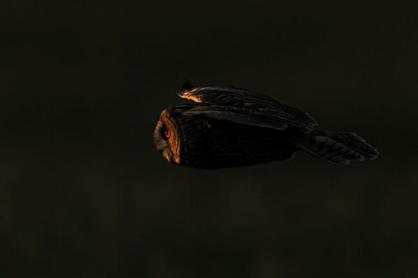 Photograph Olivier Colle End Of Day on One Eyeland