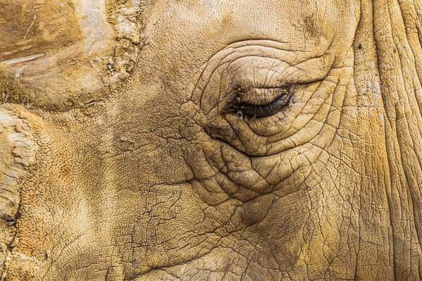Photograph Olivier Colle Time Flies on One Eyeland