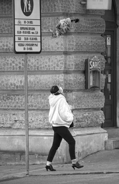 Photograph Mario Furcak A Lady With A Cat on One Eyeland
