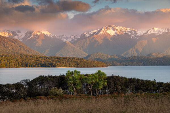 Photograph Satheesh Nair New Zealand Dsc2974 on One Eyeland