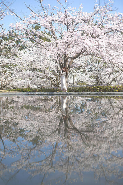 Photograph Setsuna Kurouzu Reflection on One Eyeland