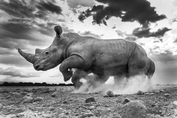 Photograph Manoj Shah U Turn on One Eyeland