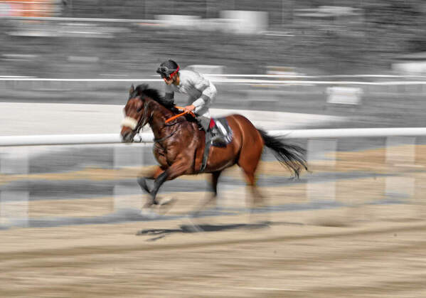 Photograph Mikica Kosanovic Run on One Eyeland
