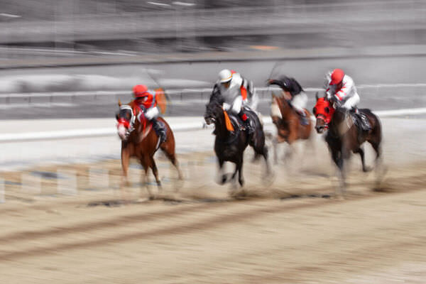 Photograph Mikica Kosanovic Gallop on One Eyeland