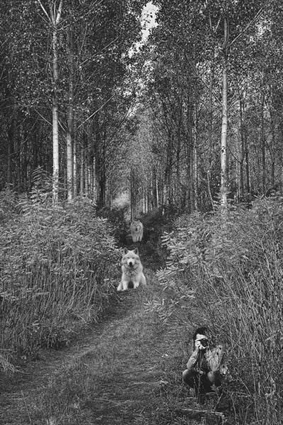 Photograph Mikica Kosanovic Double Ambush on One Eyeland