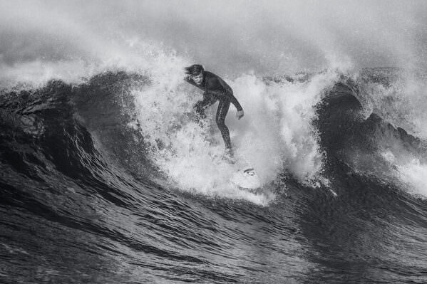 Photograph Steve Turner Wind Swept on One Eyeland