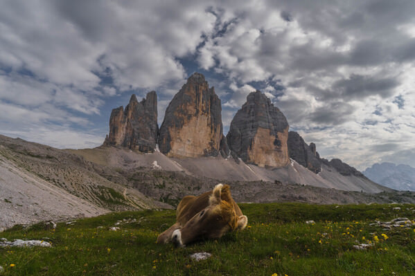 Photograph Franco Simone Baldidolfi Sleeping on One Eyeland