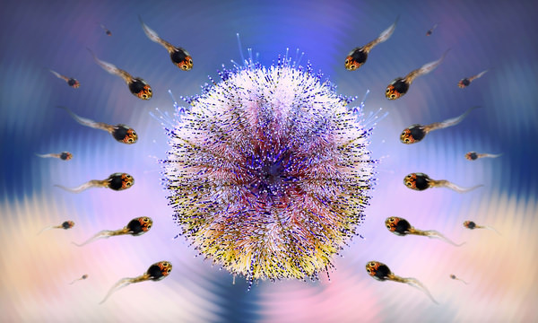 Photograph Dmitry Saltykov Call Of Nature on One Eyeland