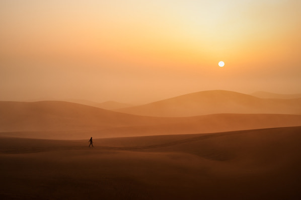 Photograph Mark Frederick Jereos The Landscaper on One Eyeland
