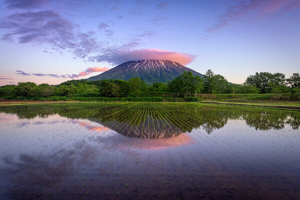 Photograph Yuusei Nagahata Paddy Field At Dusk on One Eyeland
