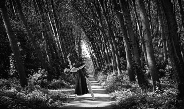 Photograph Mikica Kosanovic The Forest Twists And Dances on One Eyeland
