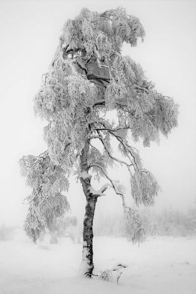 Photograph Caroline Martin In The Snow on One Eyeland