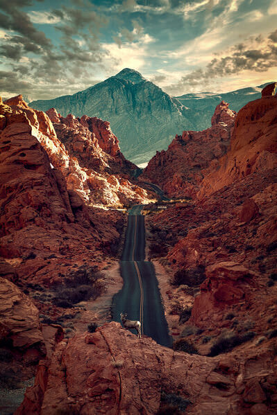 Photograph Ryan Minion Fire Road on One Eyeland