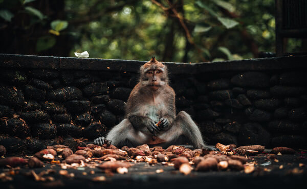 Photograph William Rodriguez Lunch Time on One Eyeland