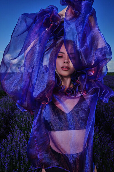 Photograph Natalia Shershakova Lavender on One Eyeland