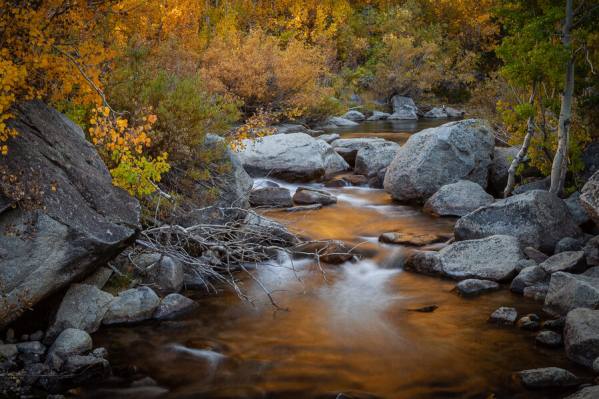Photograph Joshua Smith Mystery Of Gold on One Eyeland