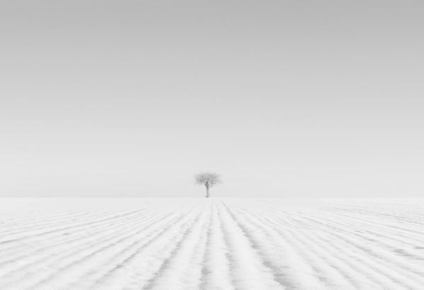 Photograph Mostafa Nodeh Poem Of Silence on One Eyeland