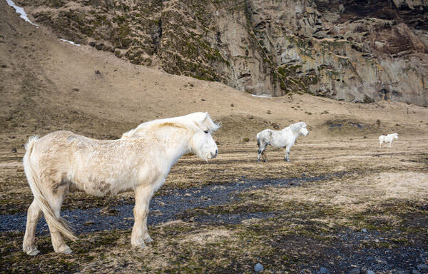 Photograph Radek Von Hirschberg Watchers on One Eyeland